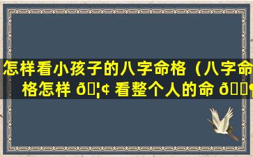 怎样看小孩子的八字命格（八字命格怎样 🦢 看整个人的命 🐶 运）